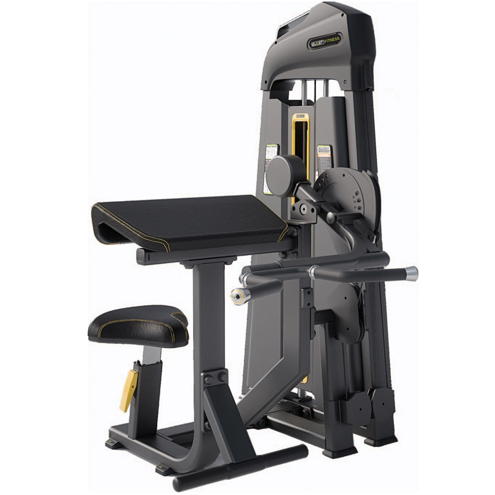 Camber Curl / Tricep Extension Fitness Equipments / Gym Strength Machines
