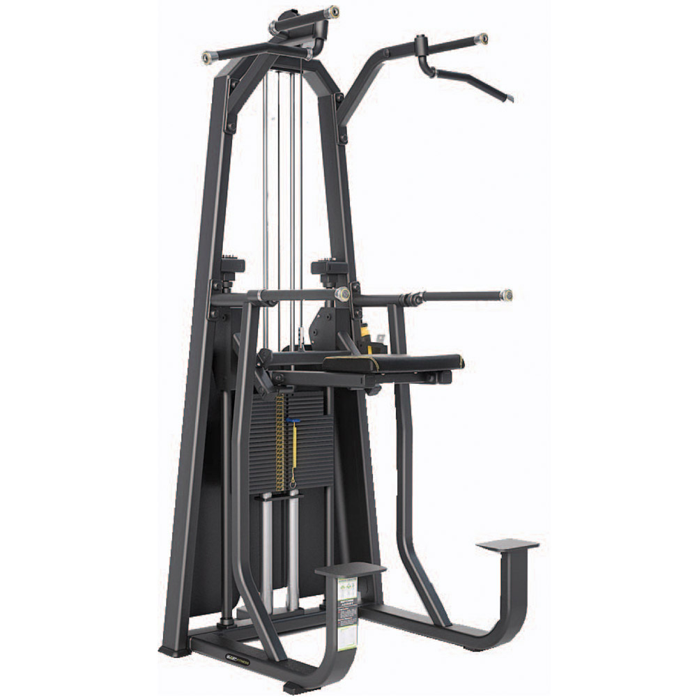 Dip / Chin Assist Fitness Equipments / Gym Strength Machines