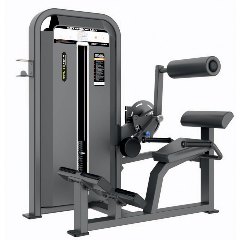 Back Extension Fitness Equipments / Gym Strength Machines