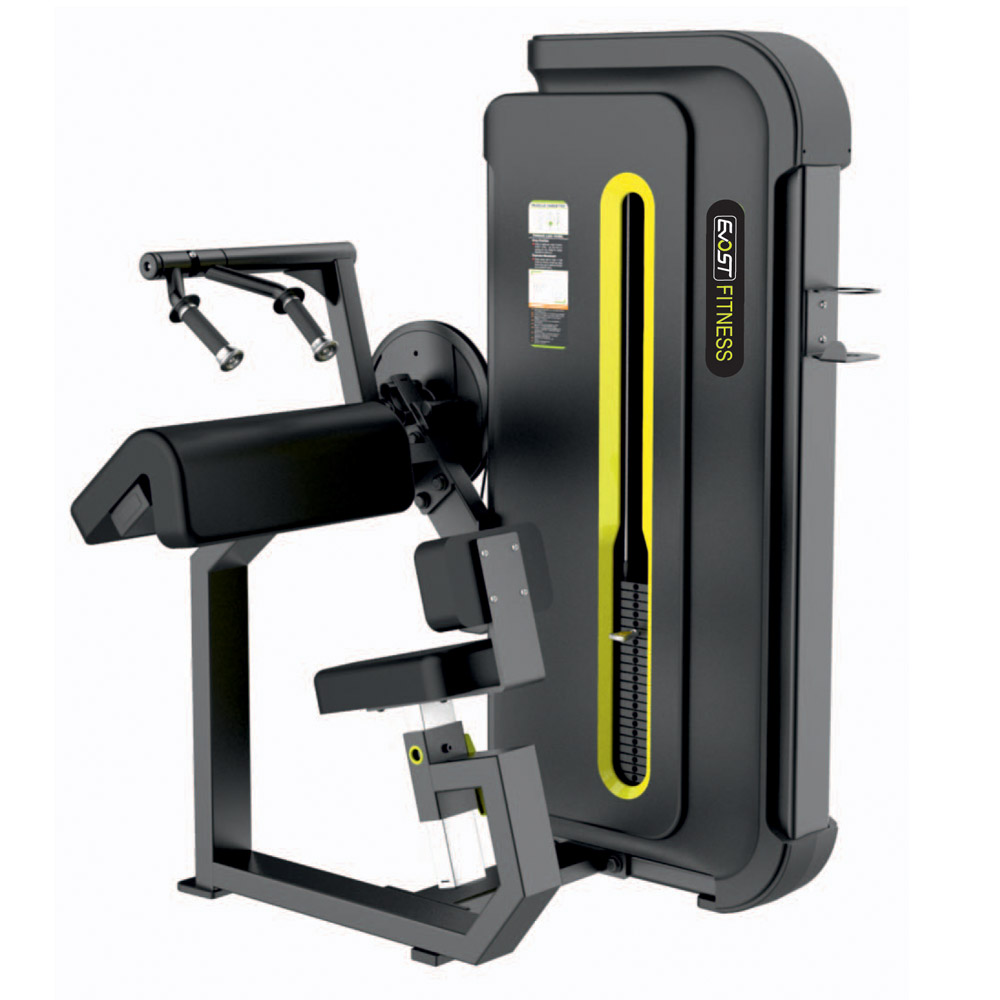 Tricep Extension Fitness Equipments / Gym Strength Machines