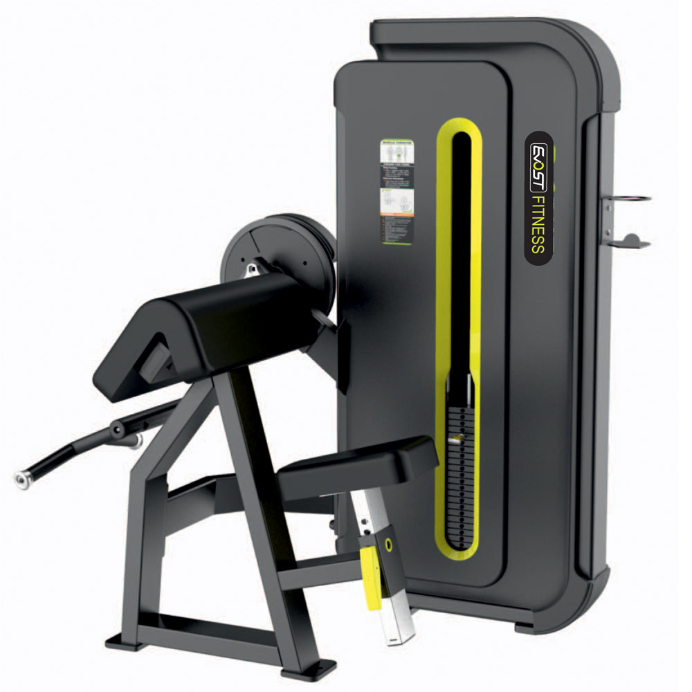 Camber Curl Fitness Equipments / Gym Strength Machines