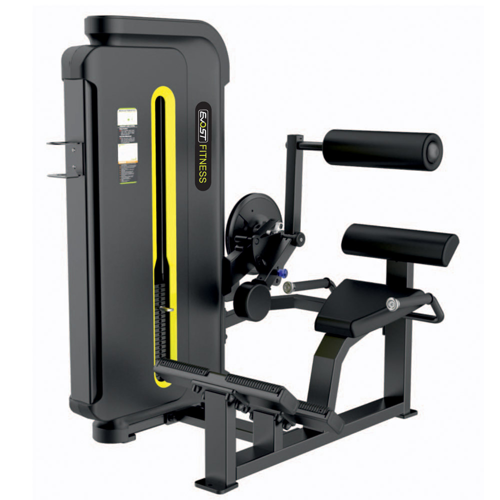 Back Extension Fitness Equipments / Gym Strength Machines