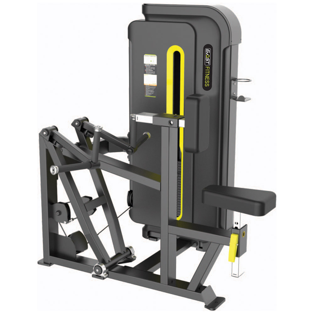 Verticle Row / Rear Delt Fitness Equipments / Gym Strength Machines