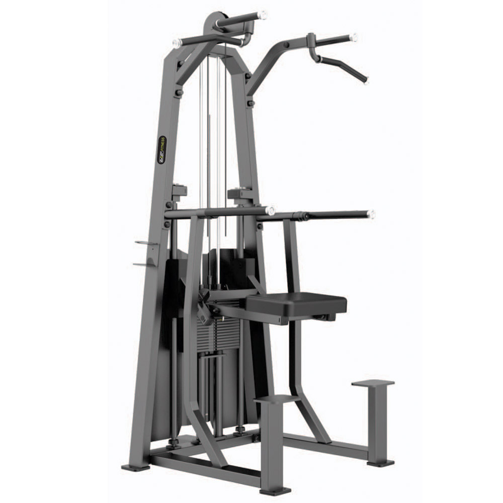 Dip / Chin Assist Fitness Equipments / Gym Strength Machines