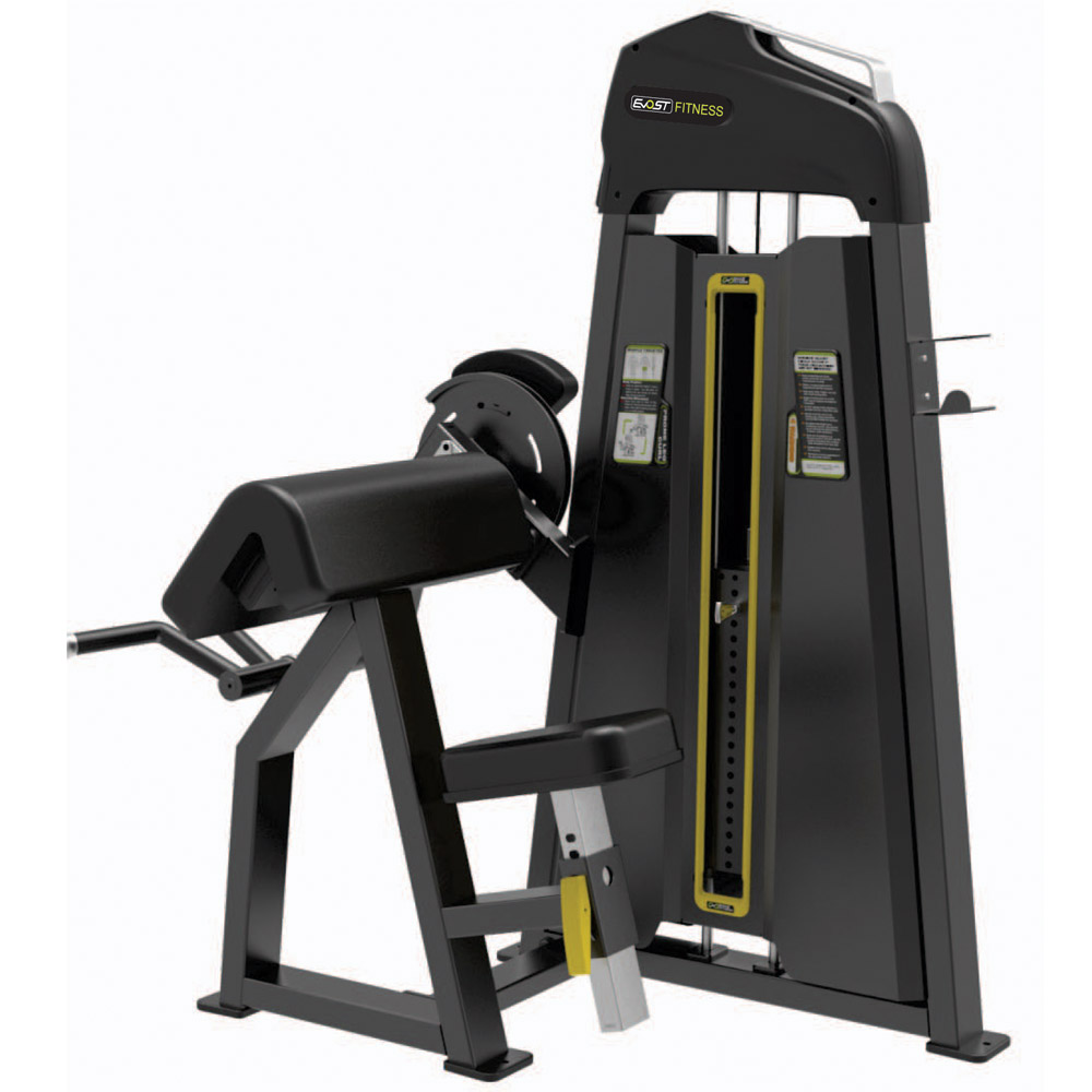 Camber Curl Fitness Equipments / Gym Strength Machines