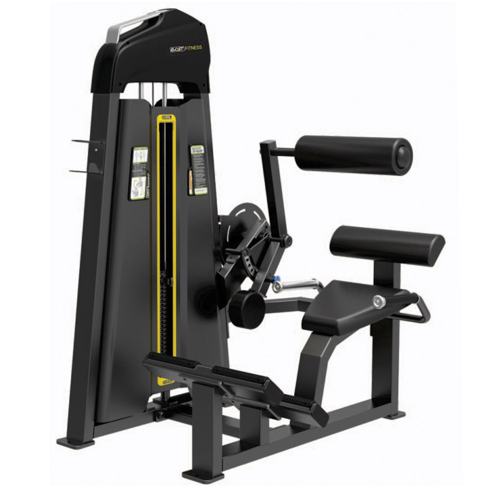 Back Extension Fitness Equipments / Gym Strength Machines