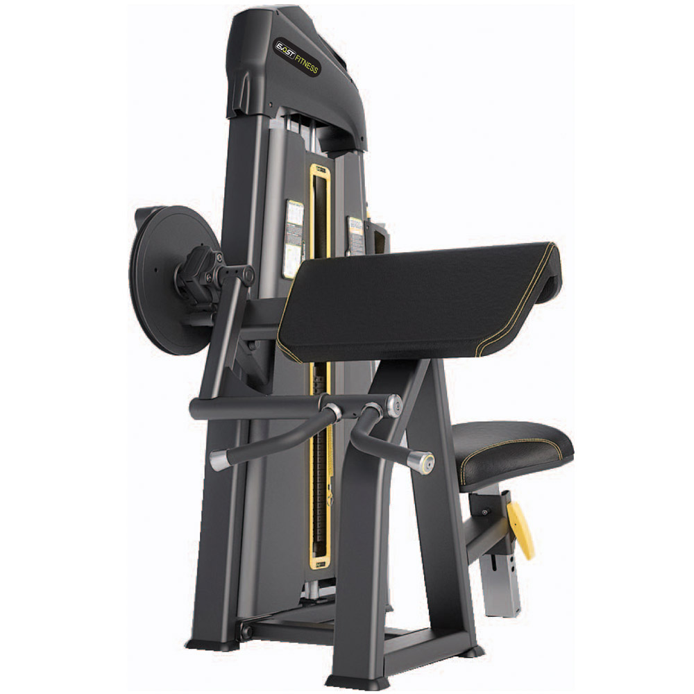 Camber Curl Fitness Equipments / Gym Strength Machines