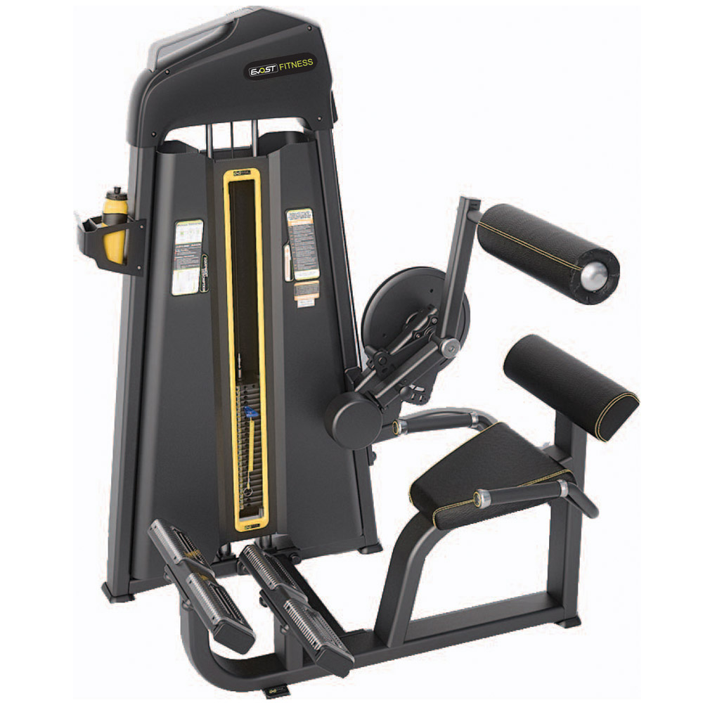 Back Extension Fitness Equipments / Gym Strength Machines