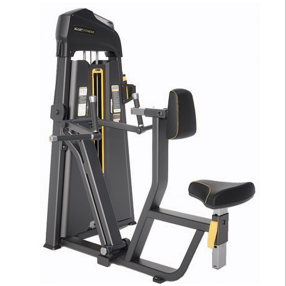 Vertical Row / Rear Delt Fitness Equipments / Gym Strength Machines