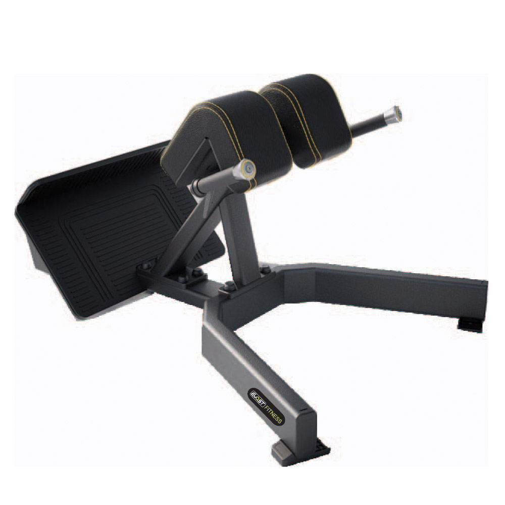 Back Extension Fitness Equipments / Gym Strength Machines