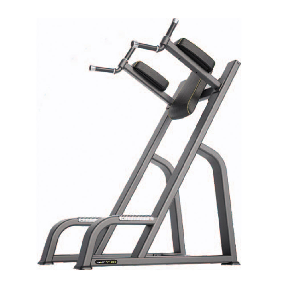 Vertical Knees Up/Dip Fitness Equipments / Gym Strength Machines