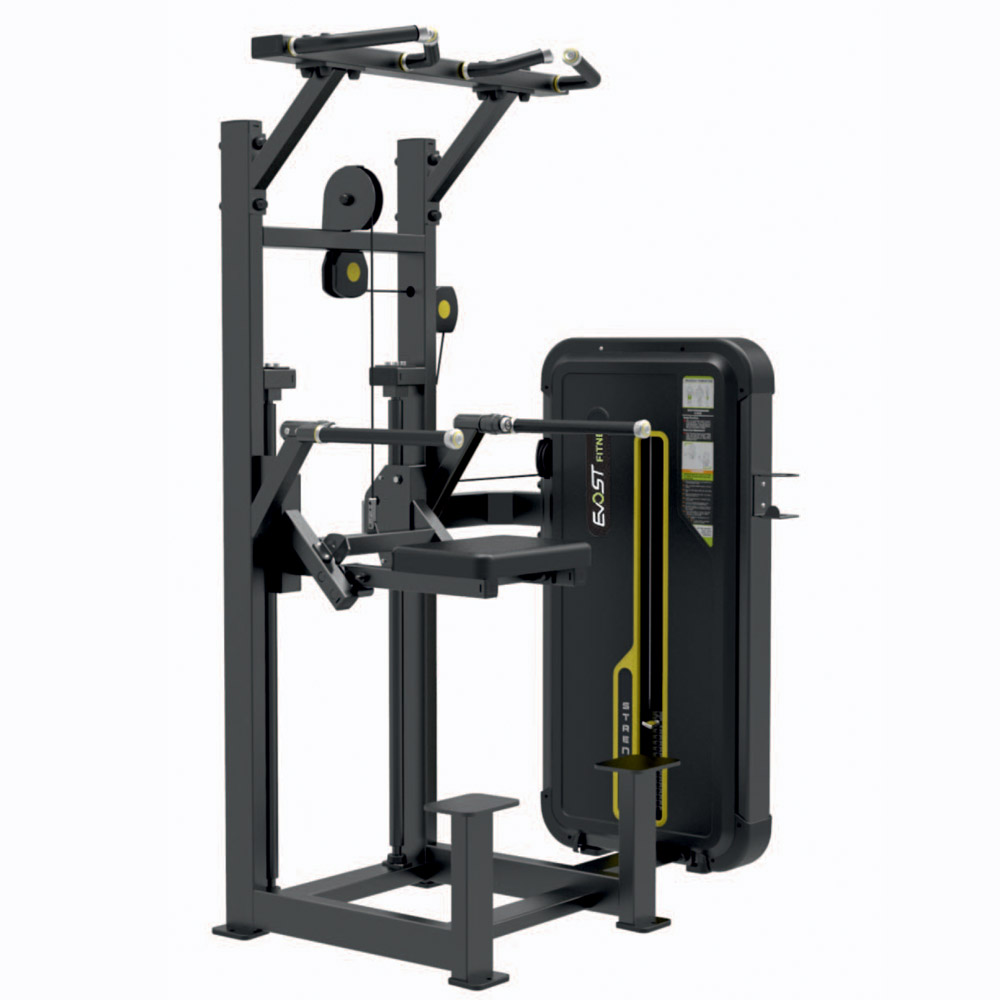 Dip / Chin Assist Fitness Equipments / Gym Strength Machines