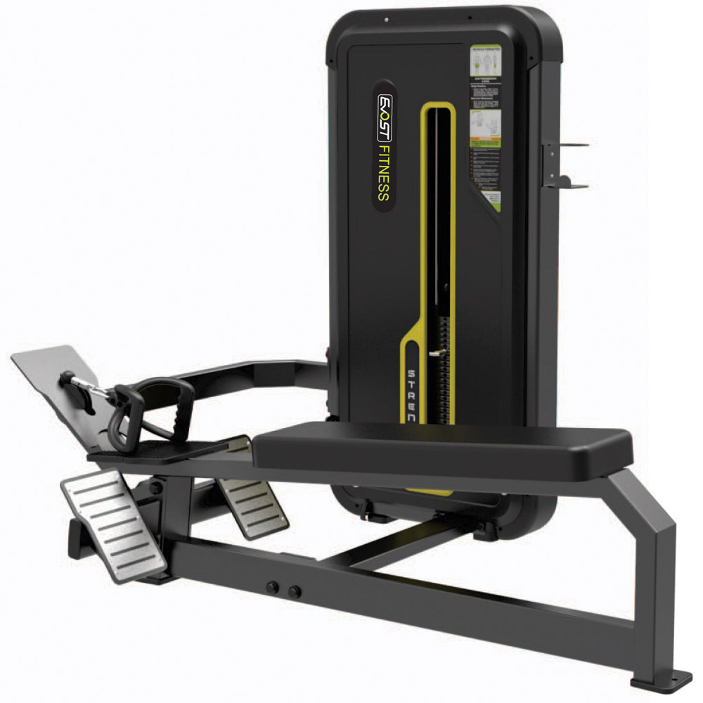 Long Pull / Long Row Fitness Equipments / Gym Strength Machines