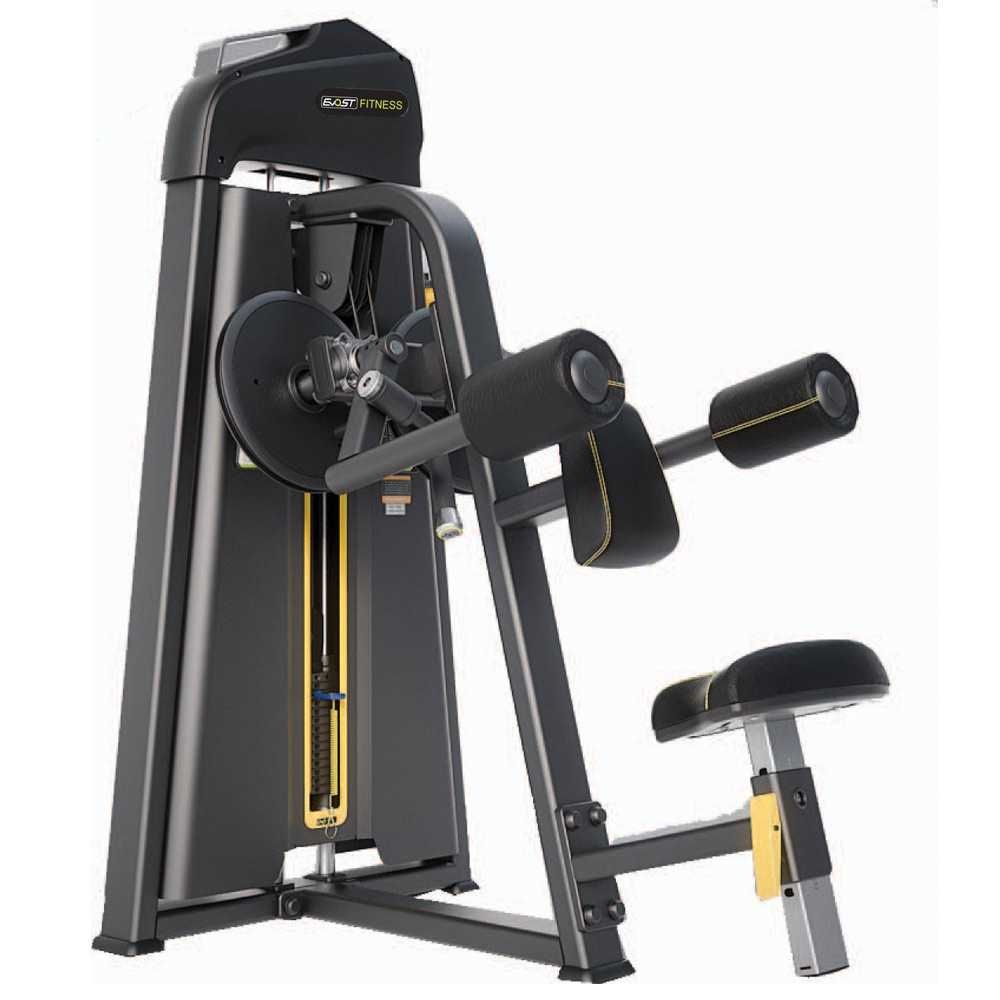 Lateral Raise Fitness Equipments / Gym Strength Machines