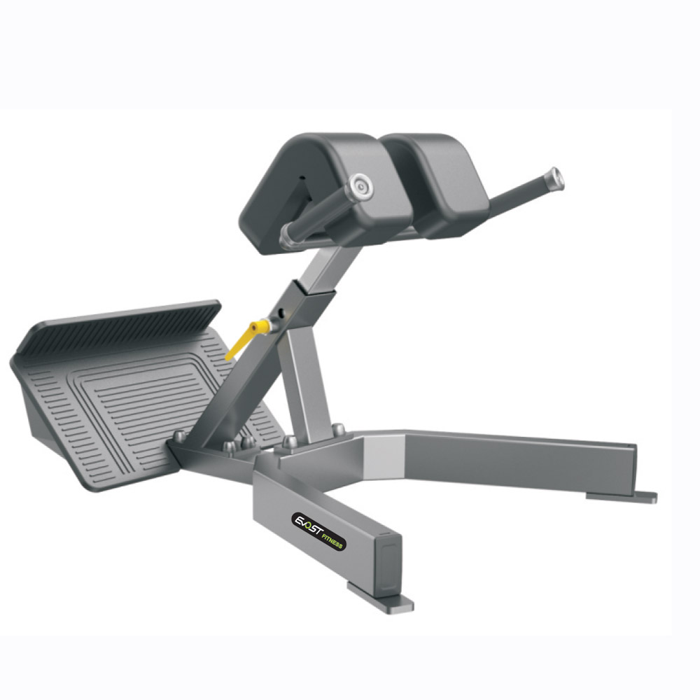 Back Extension Fitness Equipments / Gym Strength Machines
