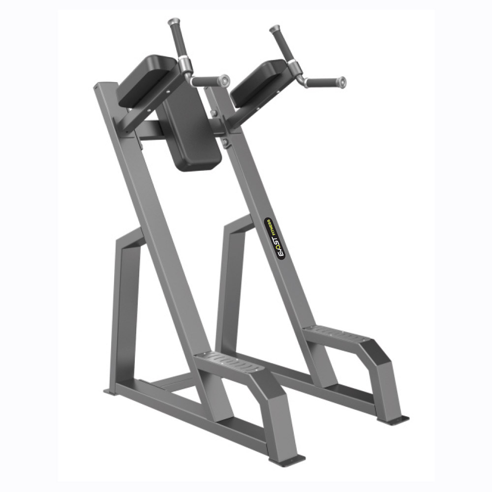Vertical Knees Up/Dip Fitness Equipments / Gym Strength Machines